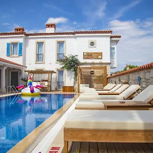 book here